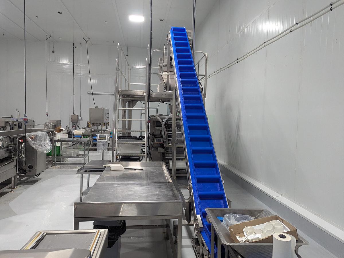 Used 10-Head Scale Bagger System with Infeed Conveyor 