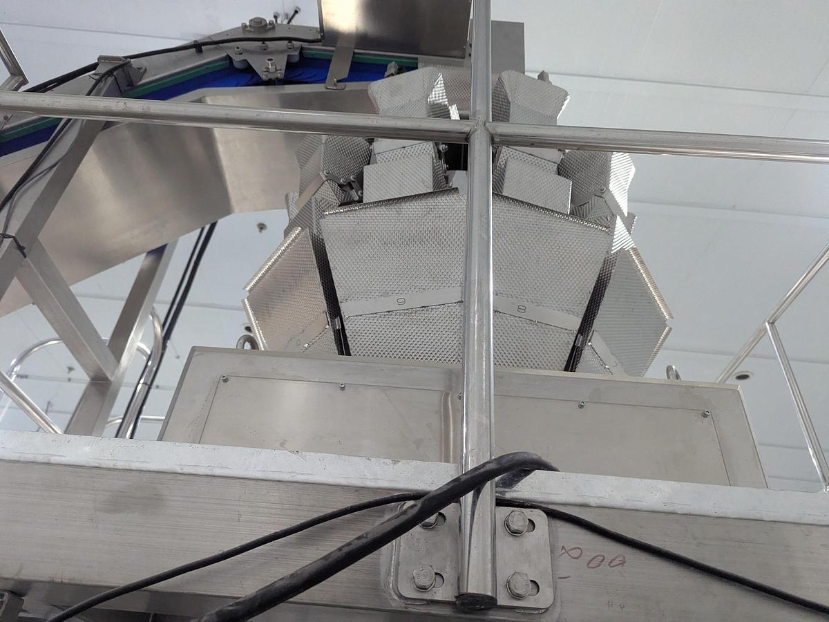 Used 10-Head Scale Bagger System with Infeed Conveyor 