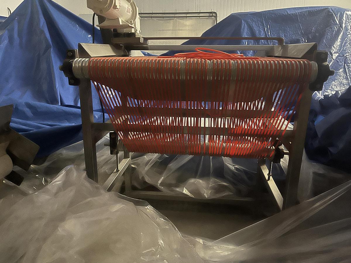 Used Berry Sizing Conveyor