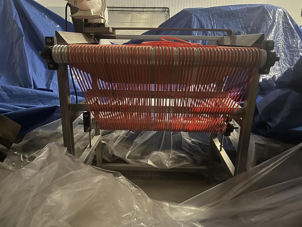 Used Berry Sizing Conveyor