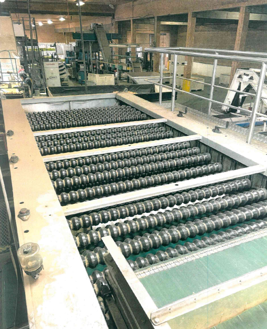 Used Wyma Potato Wash Line