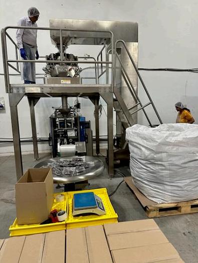 Used Lenis VFFS Machine w/ Inkjet Printer