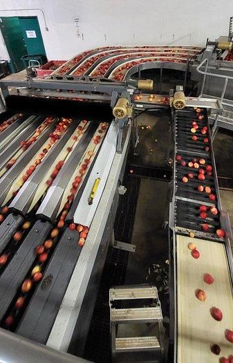 Used Apple Sorting Line