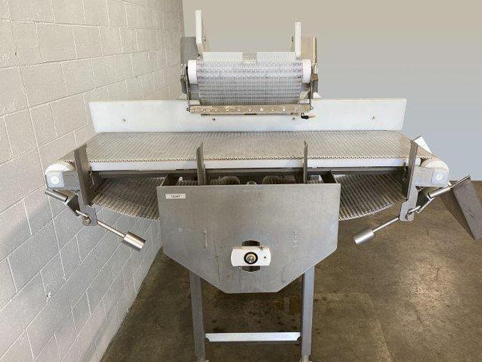 Used Incline Conveyor with Diverter Conveyor