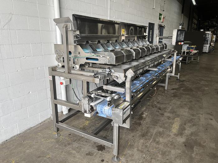 Used Andgar 10-Lane Berry Filler