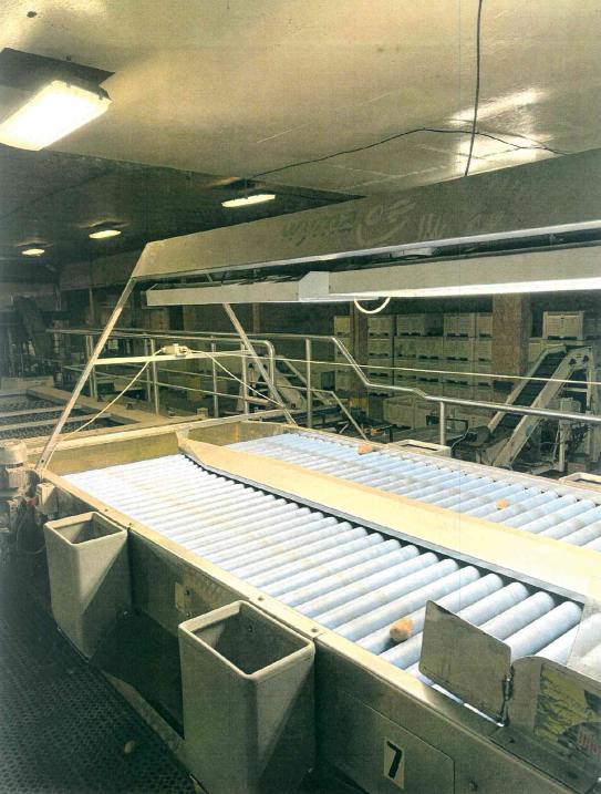 Used Wyma Potato Wash Line