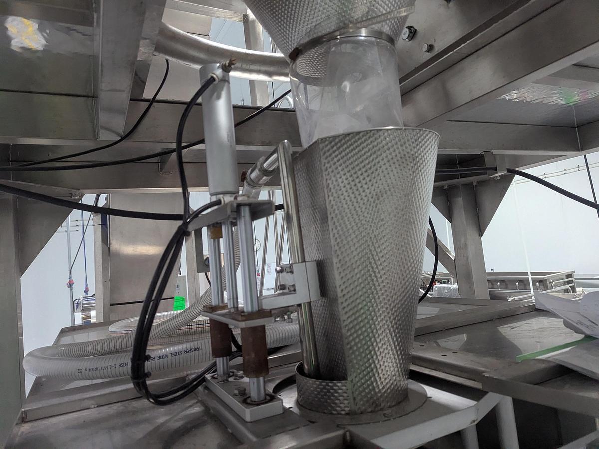 Used 10-Head Scale Bagger System with Infeed Conveyor 