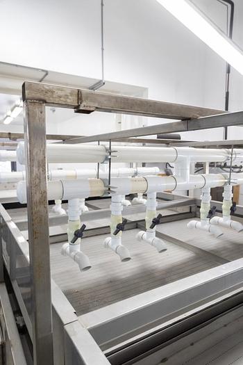 Used Unitec Vision 2 Cherry Sorting Line