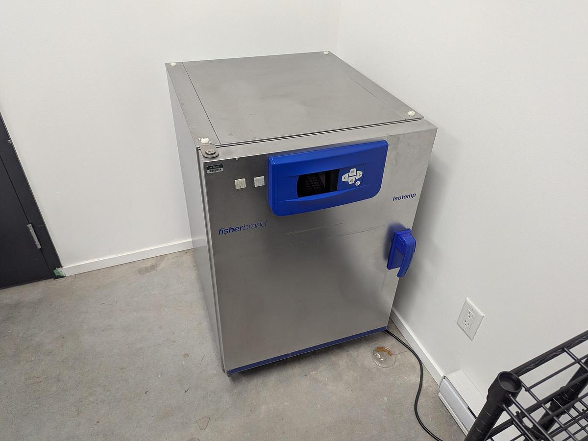 Used Thermo Scientific Fisherbrand Isotemp 180L Incubator