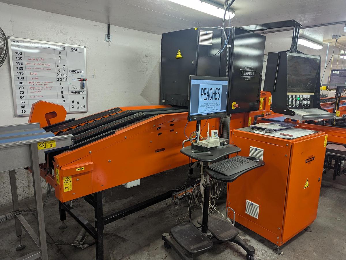 Used Van Wamel Tree Fruit Sorting and Packing Line