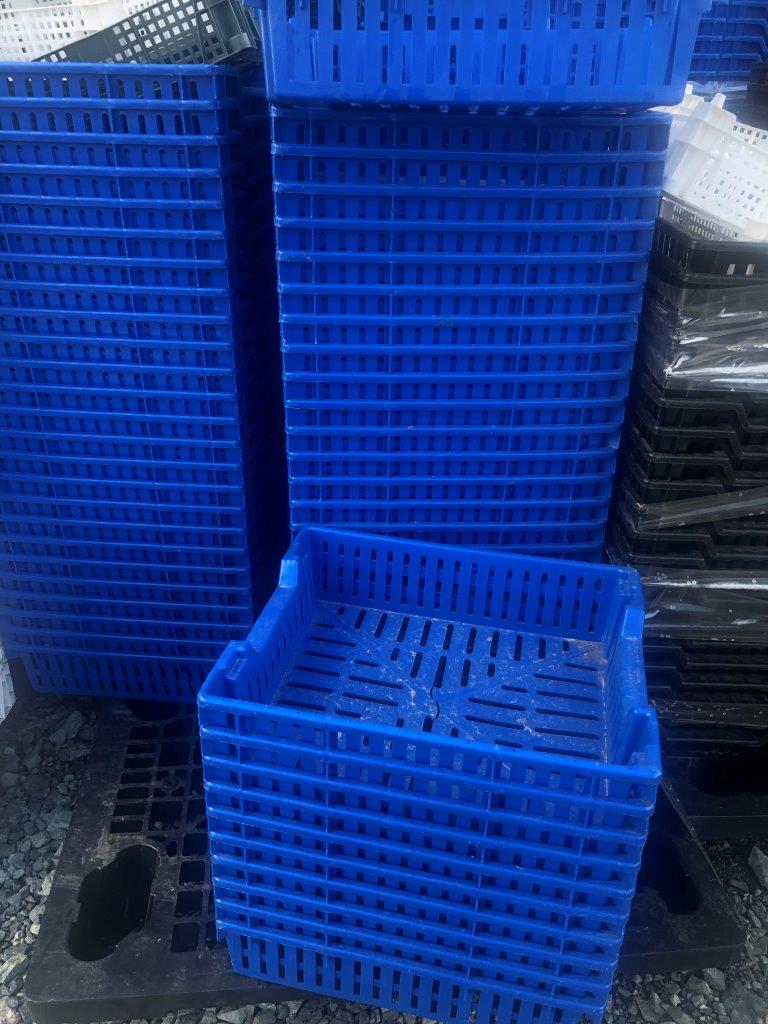 Used Wash Trays