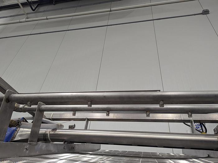 Used Rinse & Dry Berry Conveyor