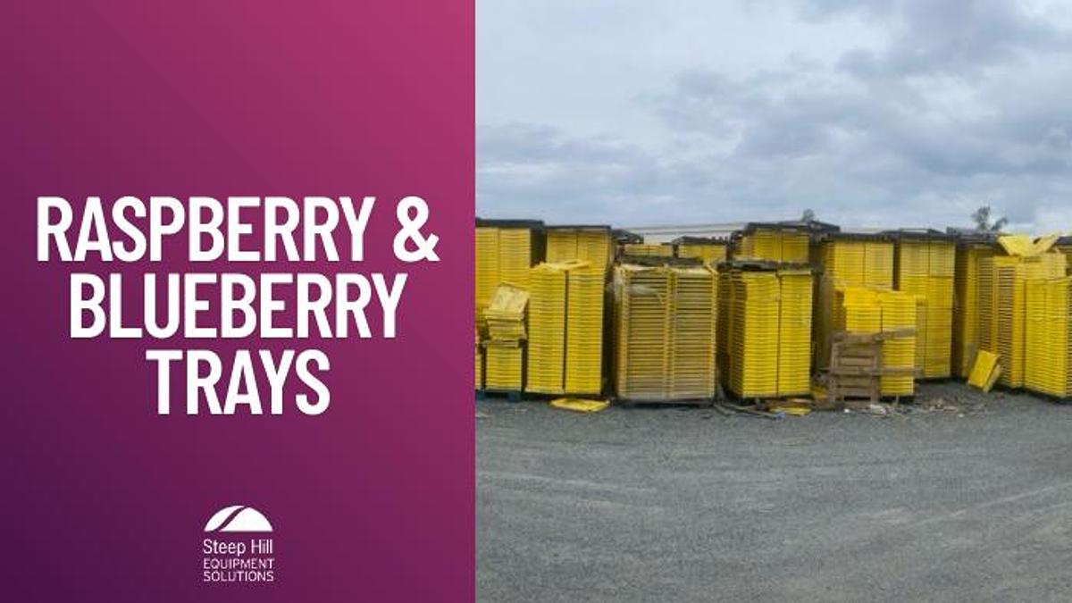 Used Raspberry/Blueberry Trays