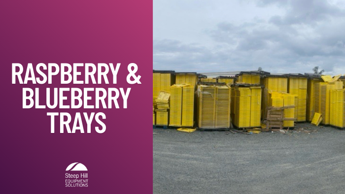 Used Raspberry/Blueberry Trays