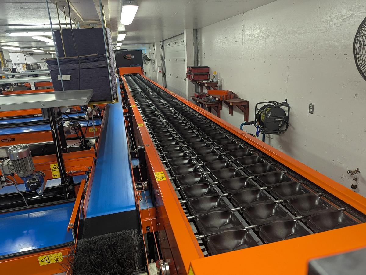 Used Van Wamel Tree Fruit Sorting and Packing Line
