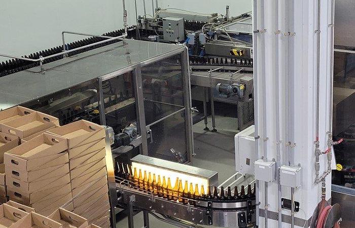 Used Krones Microbrewery Bottling Line