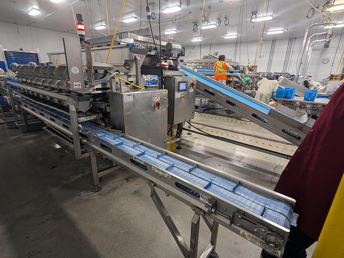 Used Andgar 10 Lane Berry Filler