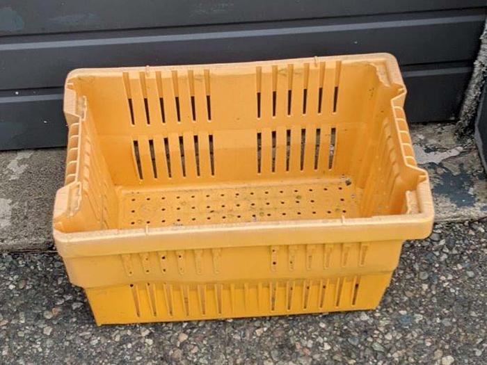 Used Produce Trays