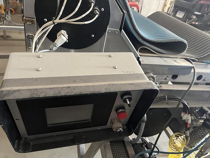 Used Berry Sorting and Filling Line