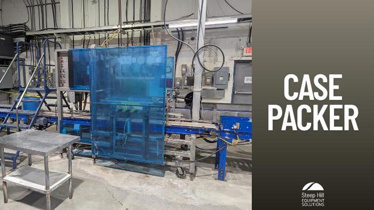 Used Wepackit MPV-300 Case Packer