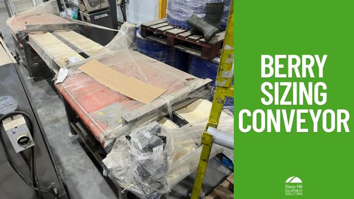 Used Berry Sizing Conveyor