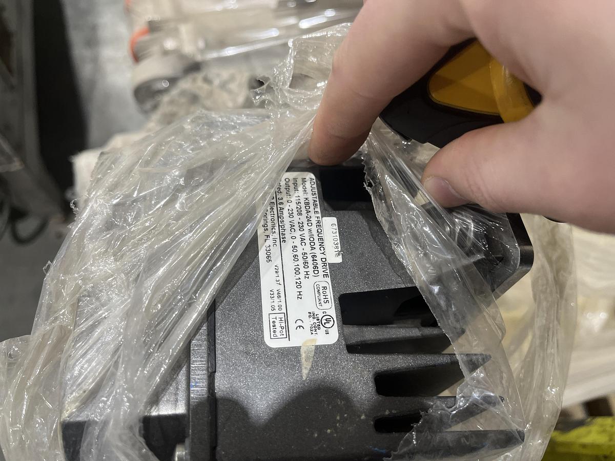 Used Berry Sizing Conveyor