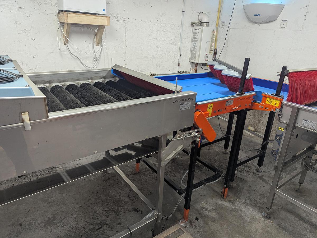 Used Van Wamel Tree Fruit Sorting and Packing Line