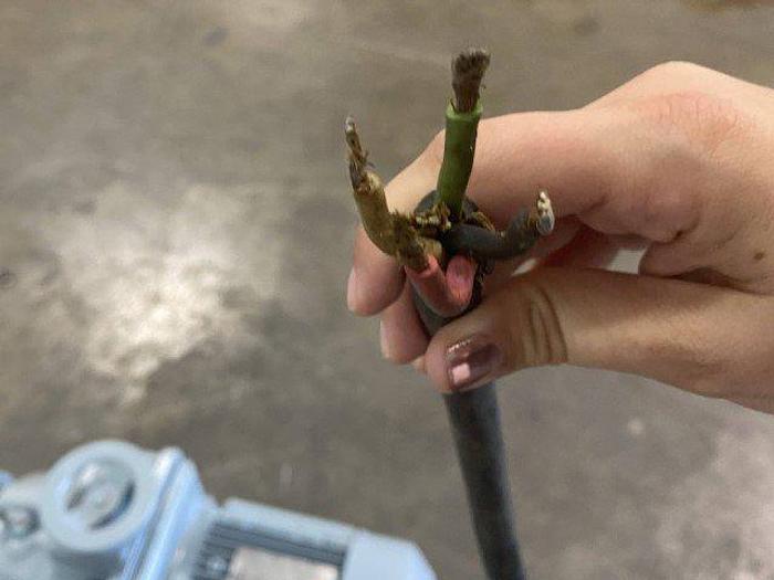 Used Wright 0300 PD Pump