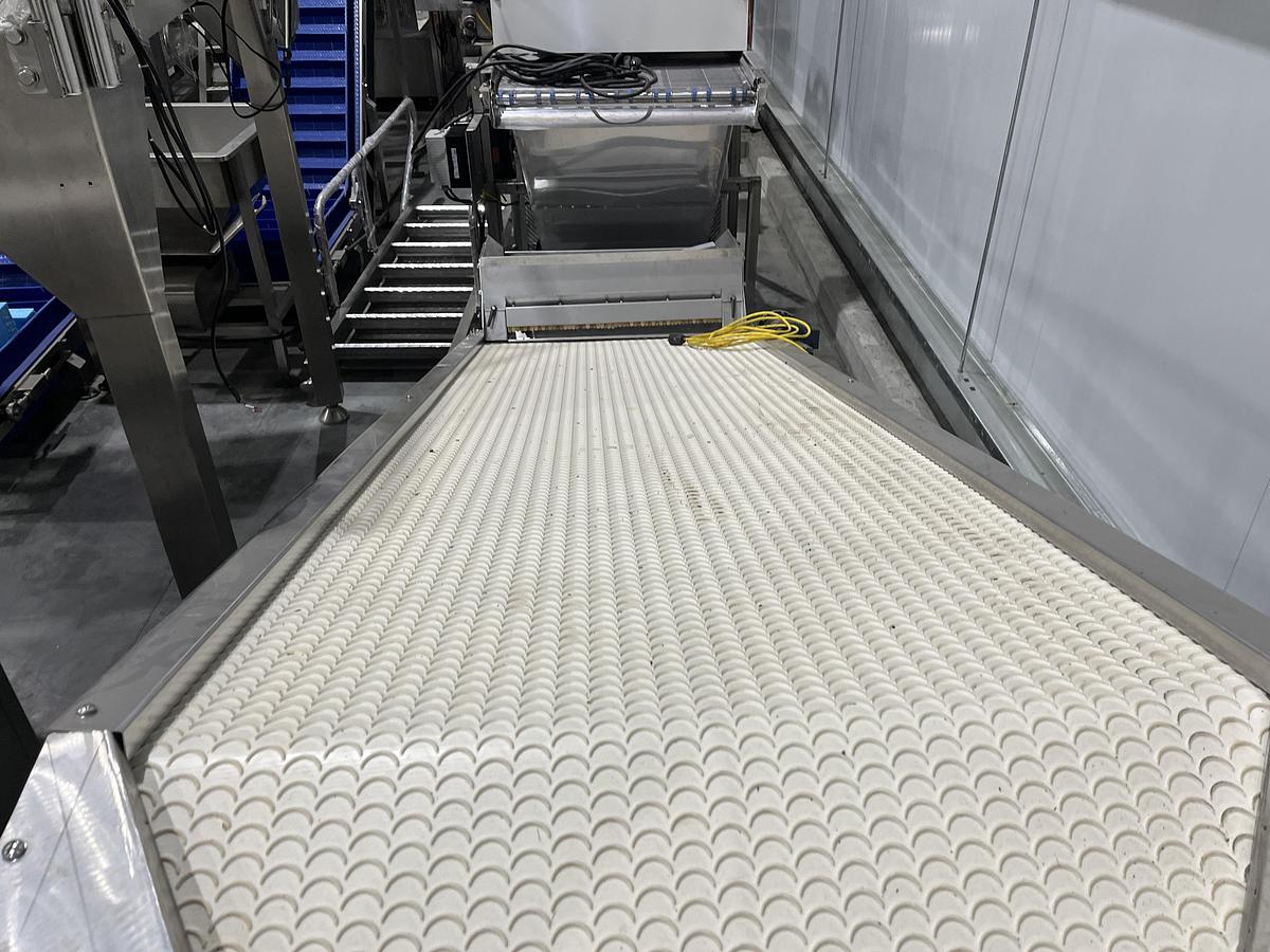 Used Scalloped Belt Incline Conveyor with Hopper