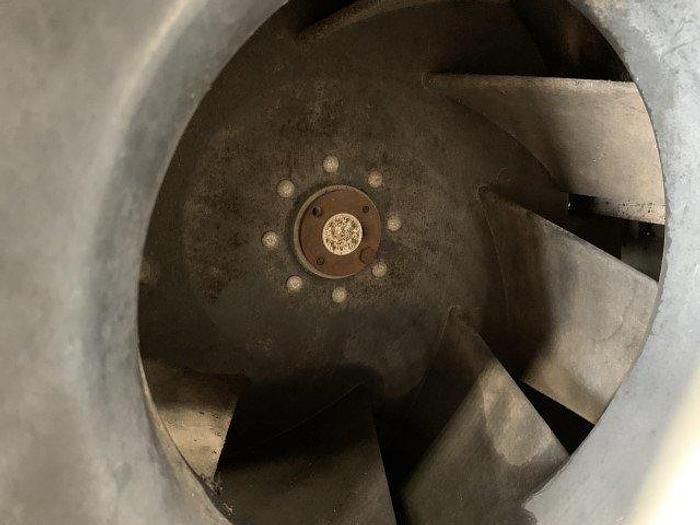 Used Lakewood Berry Leaf Blower