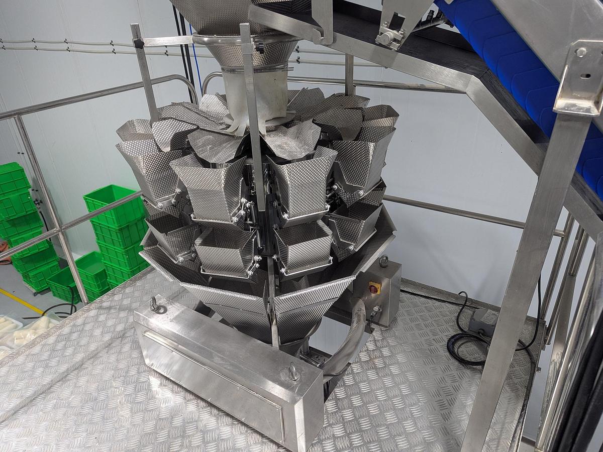 Used 10-Head Scale Bagger System with Infeed Conveyor 