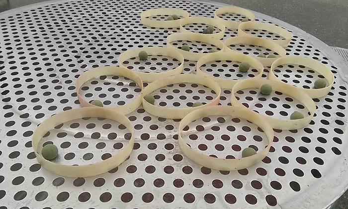 Used 46" Double Deck SS Sifter