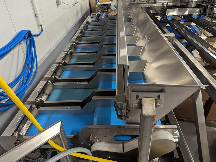 Used Andgar 10 Lane Berry Filler