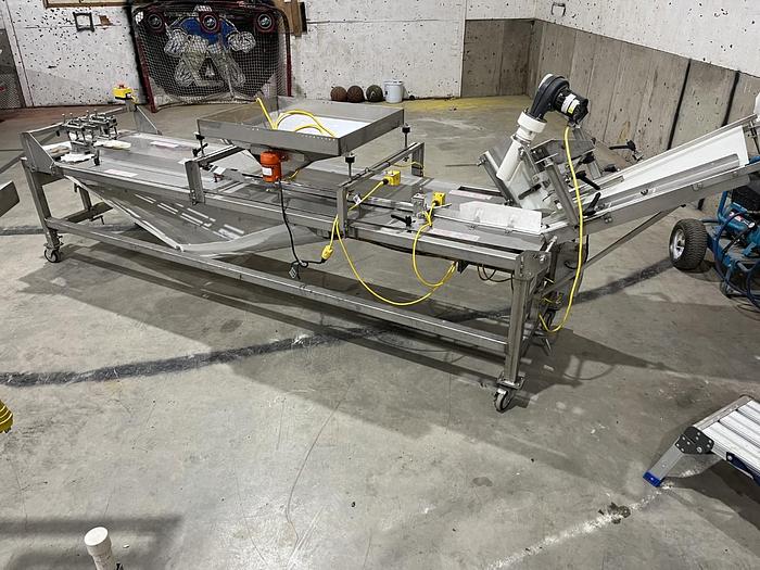 Used Berry Sorting and Filling Line