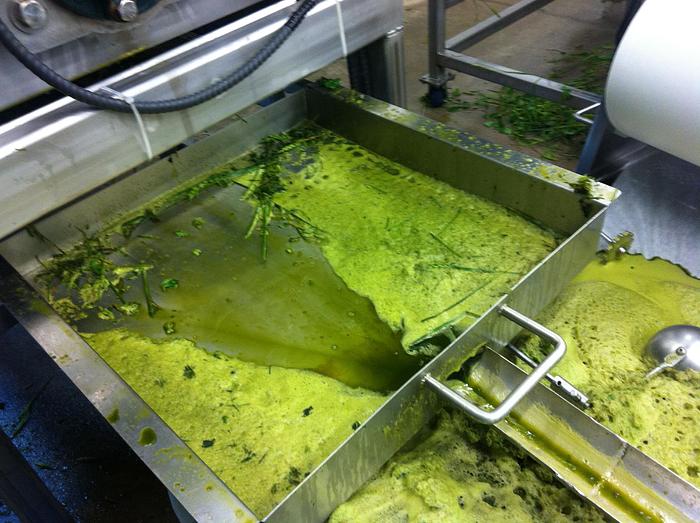 Used Wheatgrass Roller Juicer