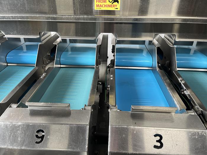 Used Andgar 10-Lane Berry Filler