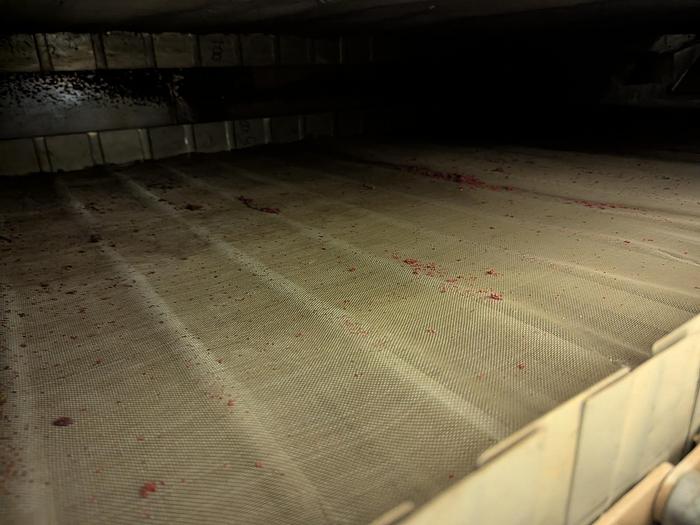 Used Combination Belt and Fluid Bed Dryer System