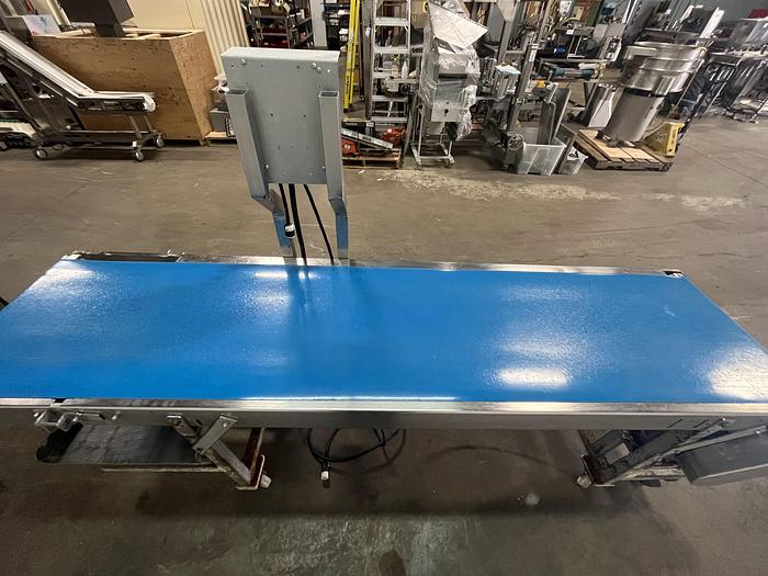 Used 9'6 Straight Conveyor