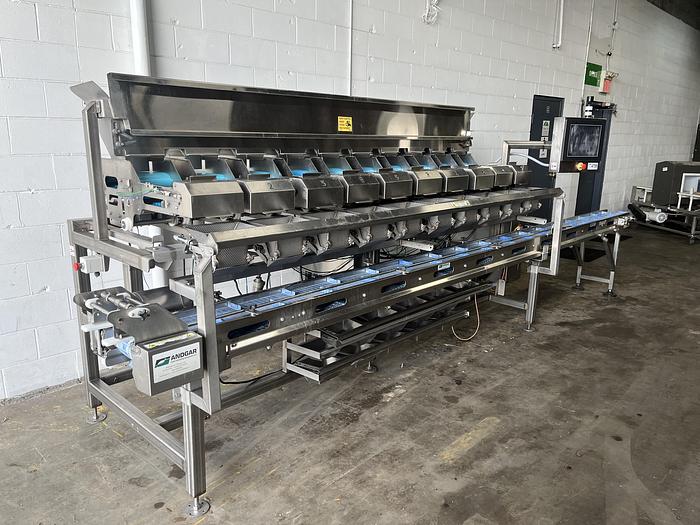 Used Andgar 10-Lane Berry Filler