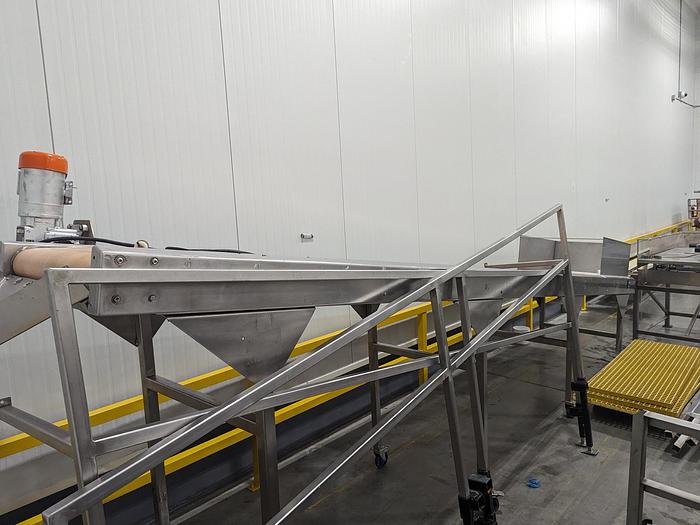 Used Berry Grading Conveyor