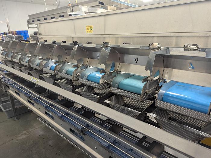 Used Andgar 10 Lane Berry Filler