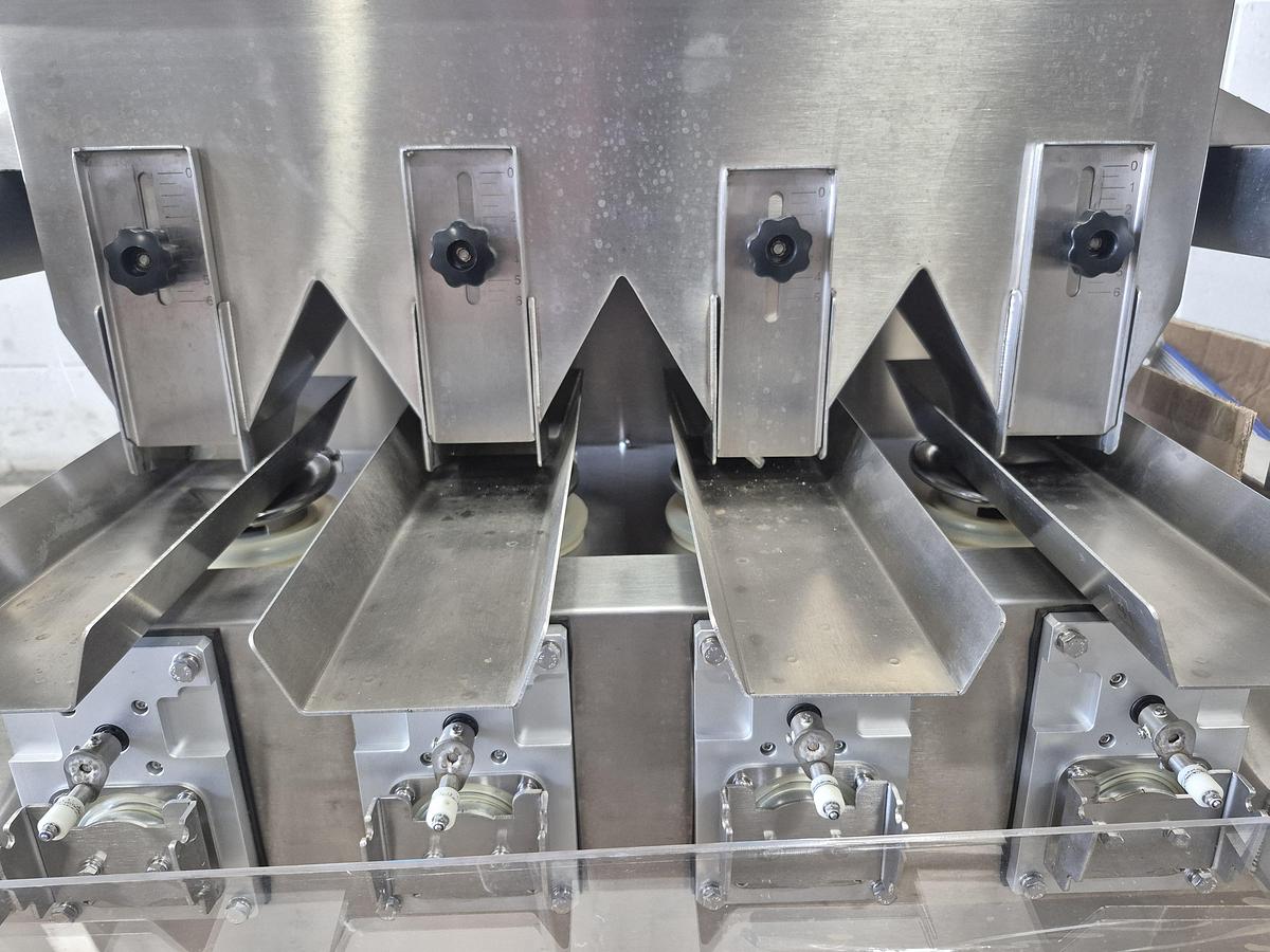Used 4-Lane Linear Bucket Scale