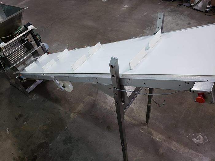 Used CMI Guillotine Hopper & Incline Conveyor