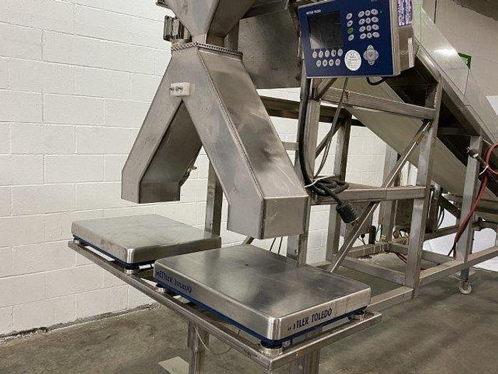 Used Incline Conveyor With Metal Detector & Scales