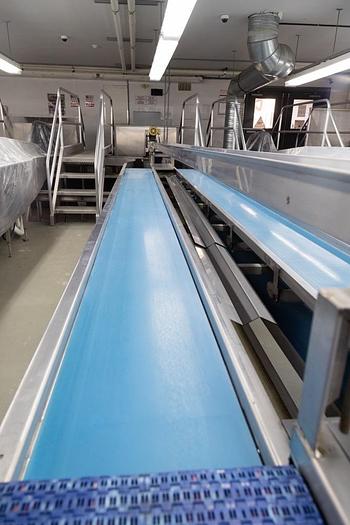 Used Unitec Vision 2 Cherry Sorting Line