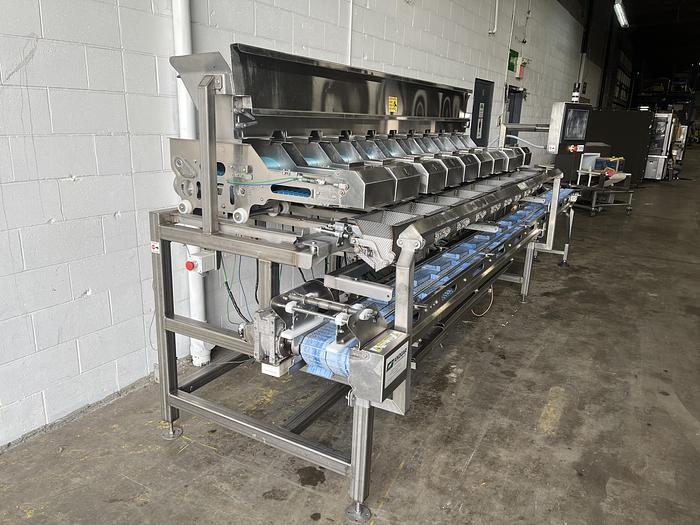 Used Andgar 10-Lane Berry Filler