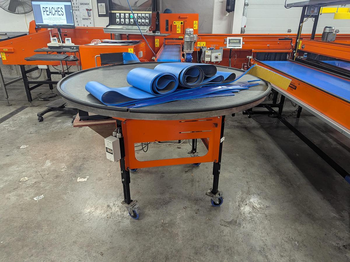 Used Van Wamel Tree Fruit Sorting and Packing Line