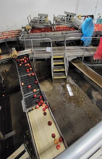Used Apple Sorting Line