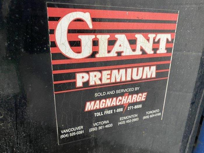 Used Blue Giant BGL30 Walkie Stacker