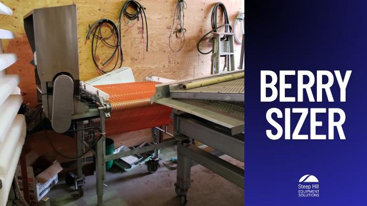 Used Fresh Berry Sizer